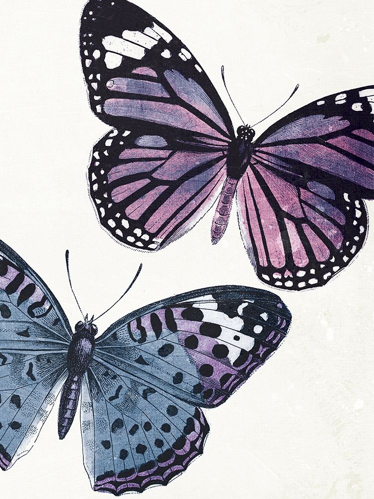Butterfly High Three art print by Jace Grey for $57.95 CAD
