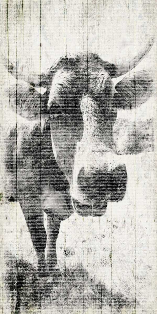 Vintage Cow art print by Jace Grey for $57.95 CAD