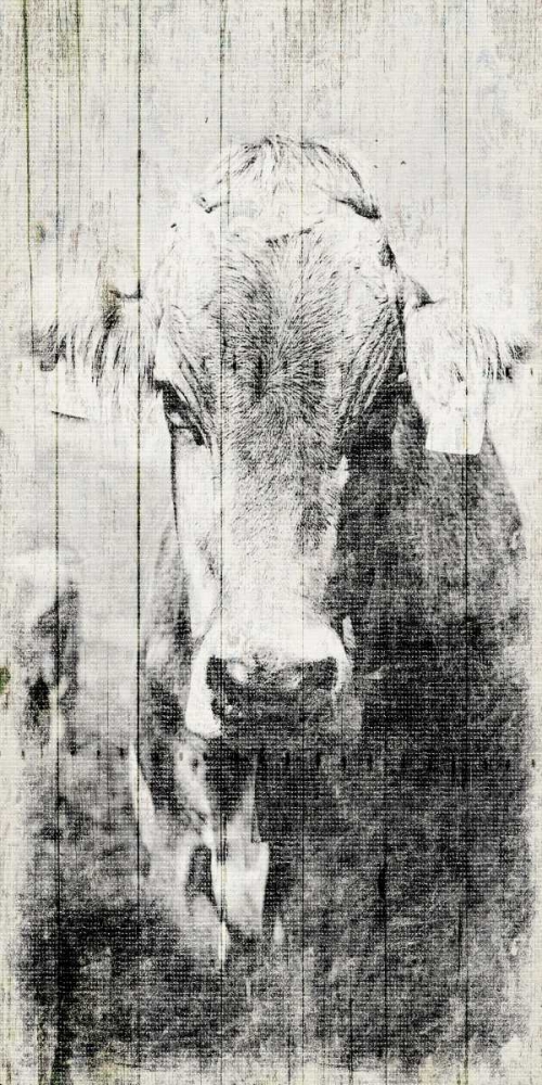 Vintage Cow Mate art print by Jace Grey for $57.95 CAD