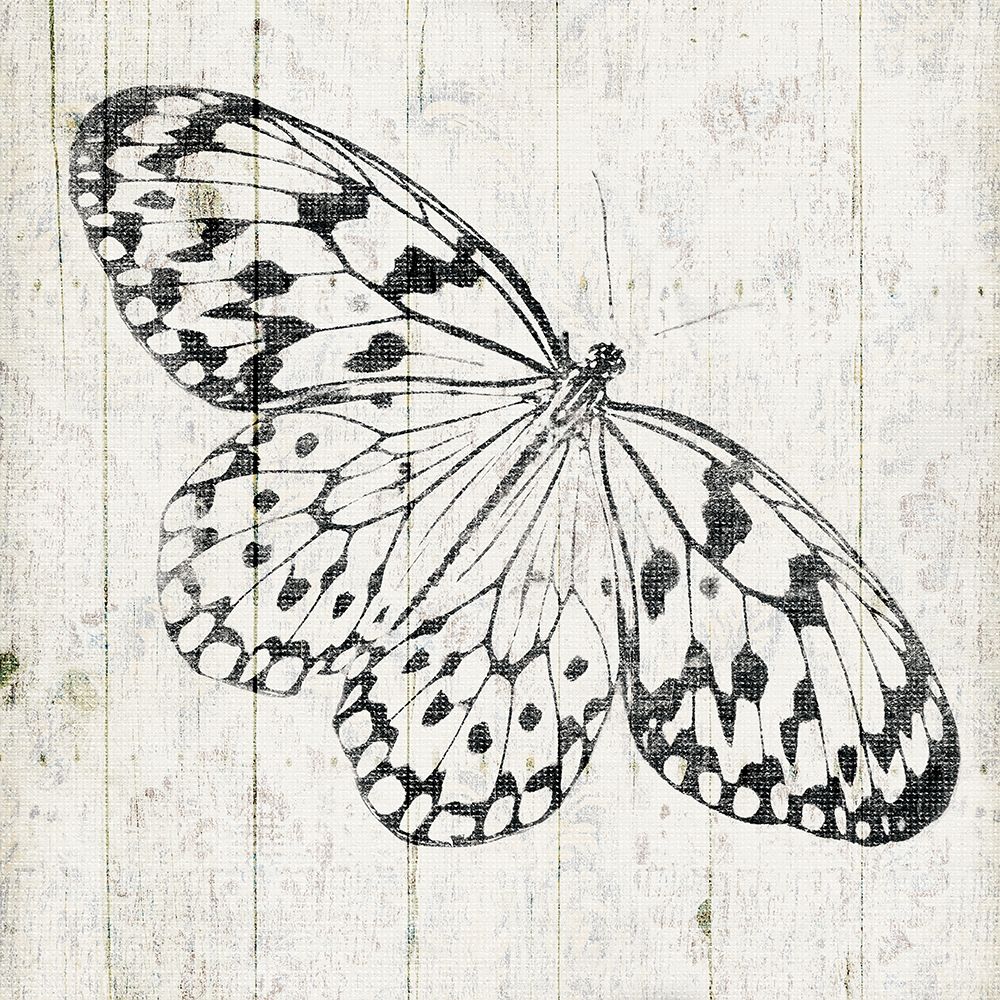Butterfly Board art print by Jace Grey for $57.95 CAD
