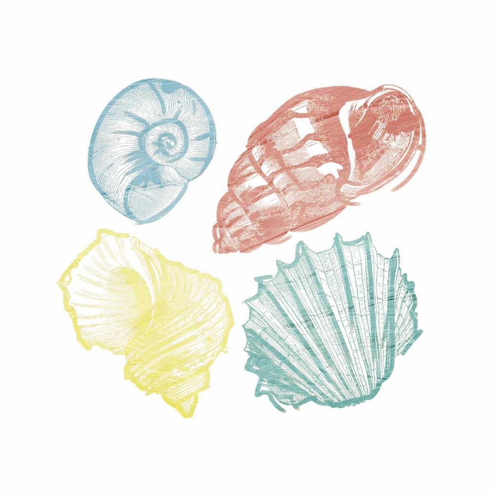 Soft Color Shells Mate art print by Jace Grey for $57.95 CAD