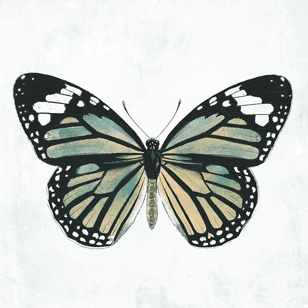 Neutral Butterfly art print by Jace Grey for $57.95 CAD