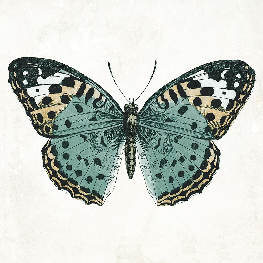 Neutral Butterfly 2 art print by Jace Grey for $57.95 CAD