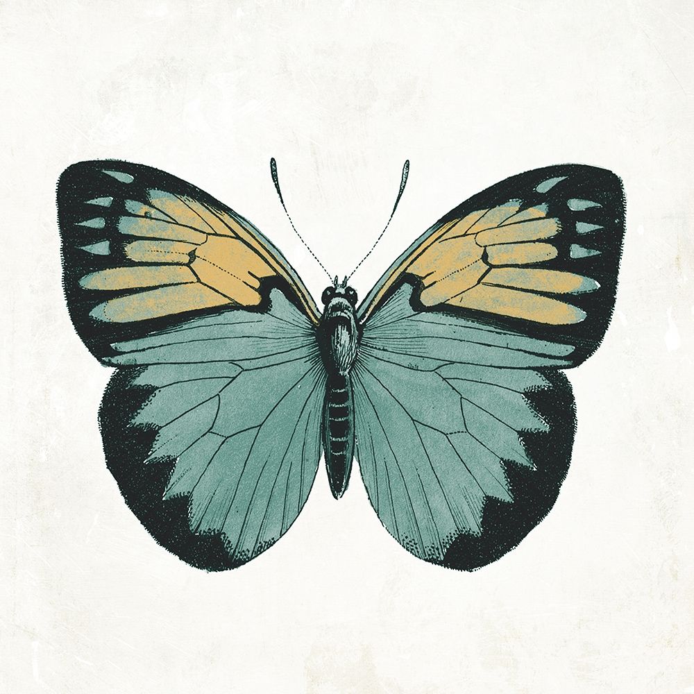 Neutral Butterfly 3 art print by Jace Grey for $57.95 CAD