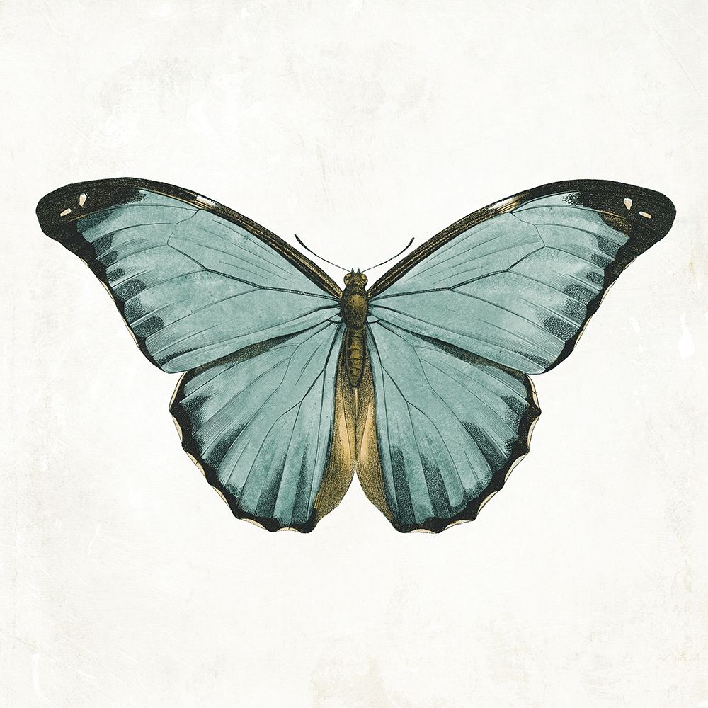 Neutral Butterfly 4 art print by Jace Grey for $57.95 CAD
