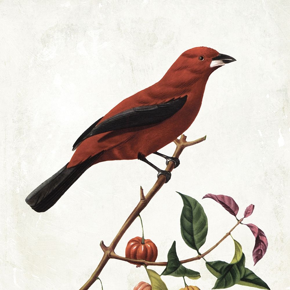 Lovely Birds art print by Jace Grey for $57.95 CAD