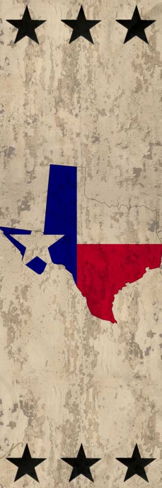 Lone Star State art print by Kimberly Allen for $57.95 CAD