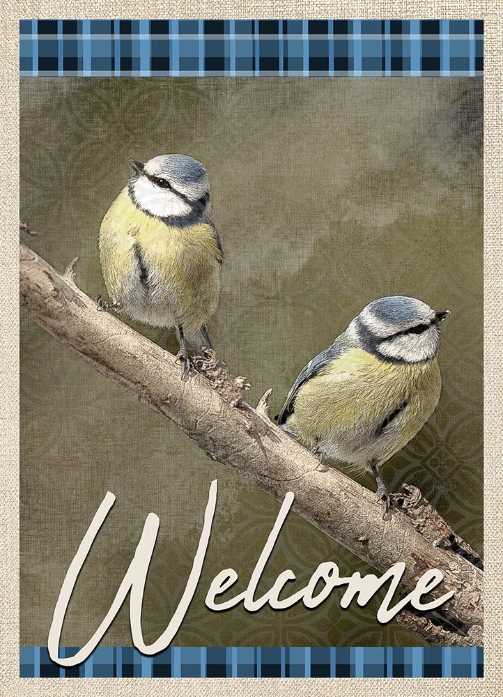 Welcome Blue Birds art print by Allen Kimberly for $57.95 CAD