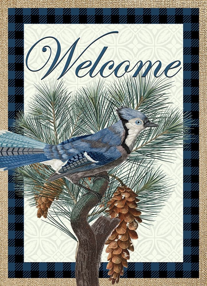 Blue Jay Welcome art print by Allen Kimberly for $57.95 CAD