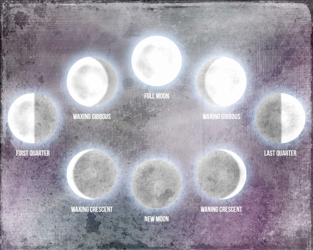 Phases of the Moon art print by Kimberly Allen for $57.95 CAD