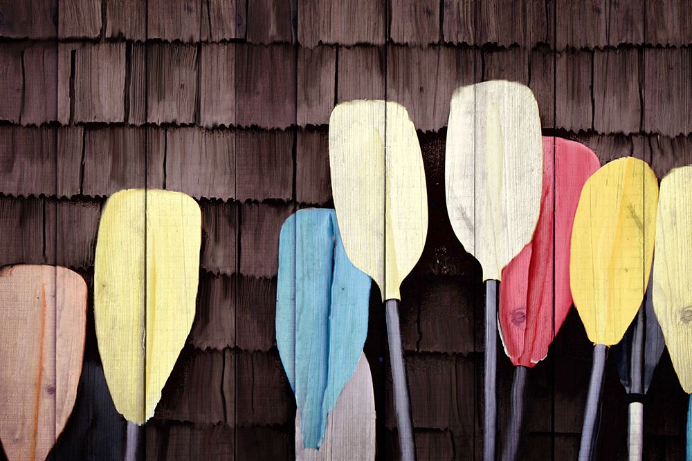 Colorful Paddles art print by Kimberly Allen for $57.95 CAD