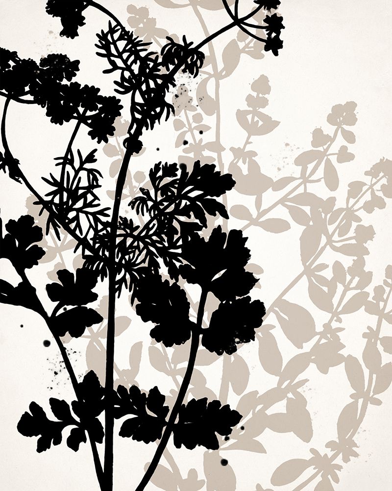 Botanical Black 1 art print by Kimberly Allen for $57.95 CAD