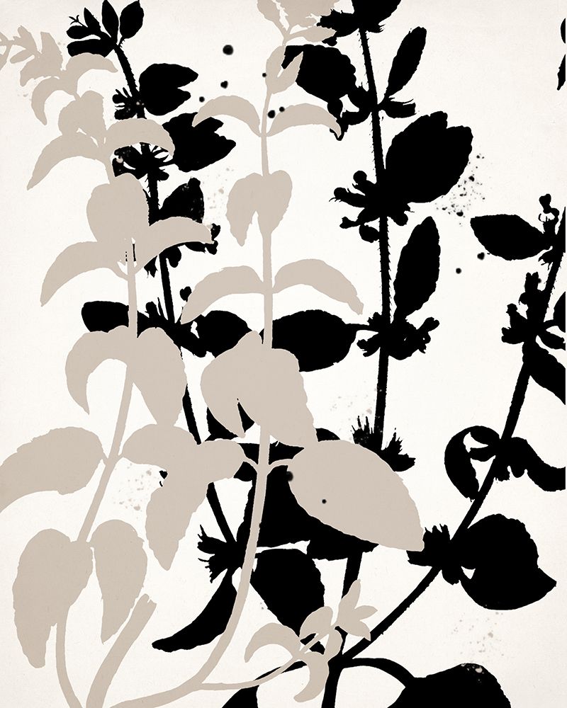 Botanical Black 2 art print by Kimberly Allen for $57.95 CAD