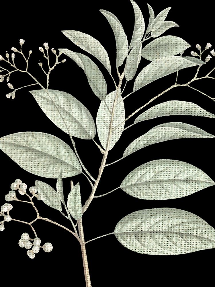 Botanical Branch 1 art print by Kimberly Allen for $57.95 CAD