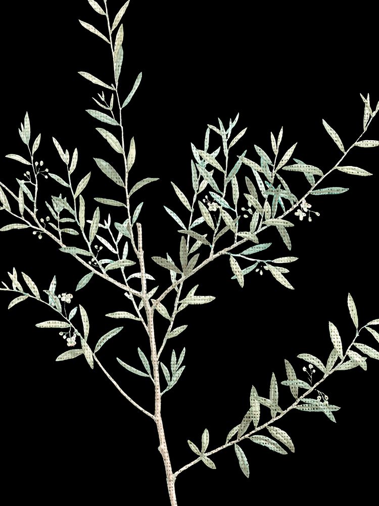 Botanical Branch 2 art print by Kimberly Allen for $57.95 CAD