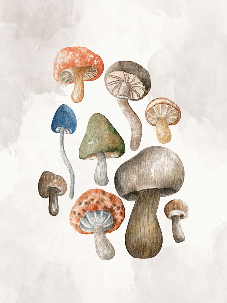 Mushroom Stack 1 art print by Kimberly Allen for $57.95 CAD