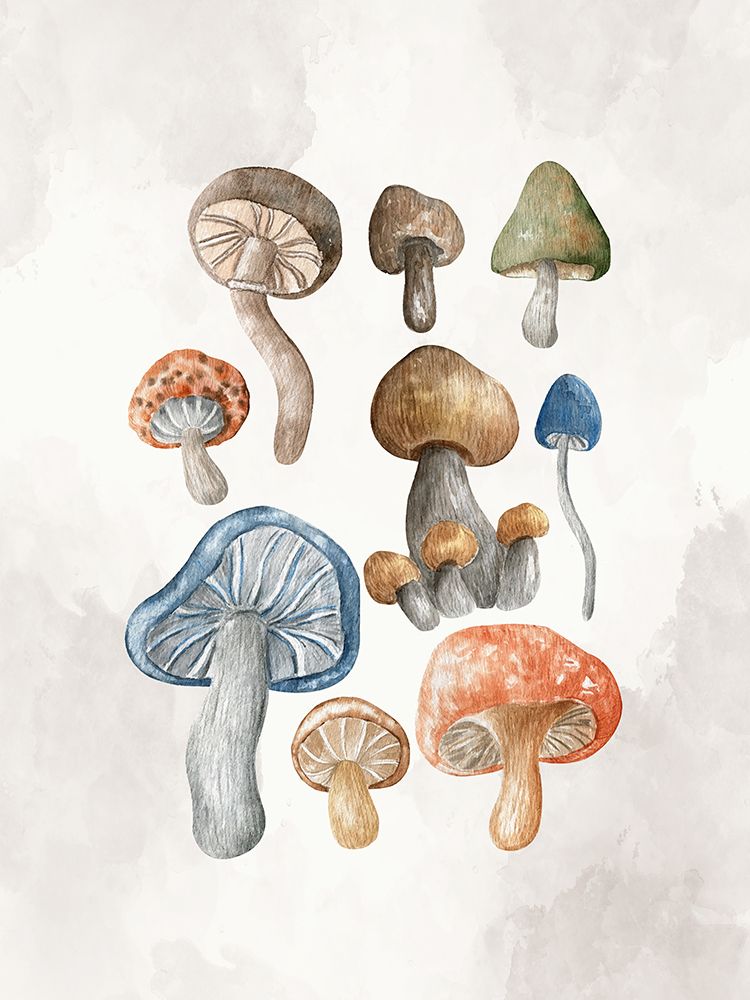 Mushroom Stack 2 art print by Kimberly Allen for $57.95 CAD