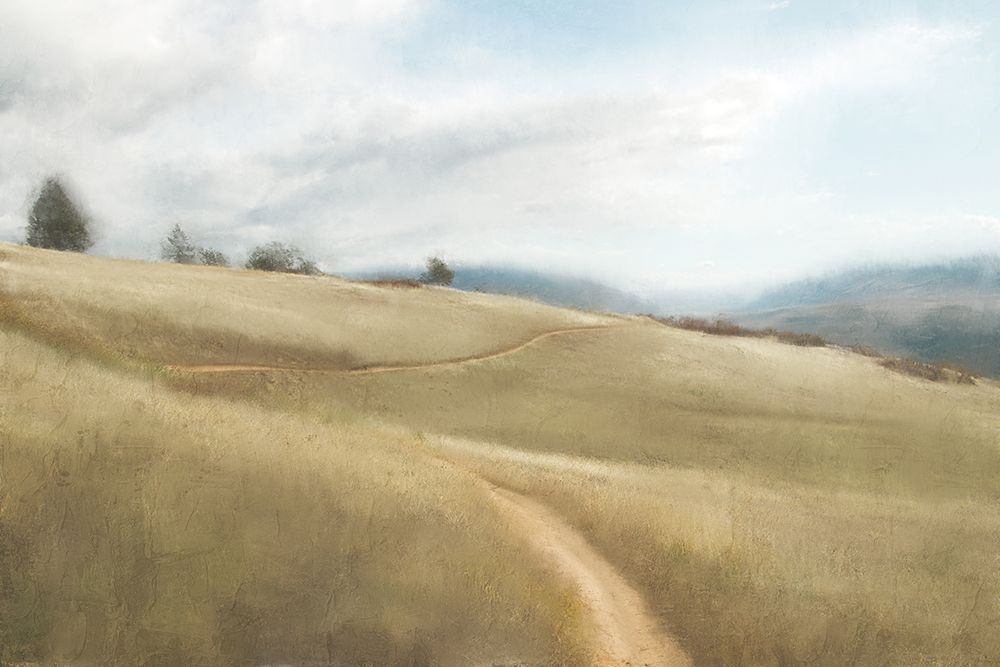 Open Meadow art print by Kimberly Allen for $57.95 CAD