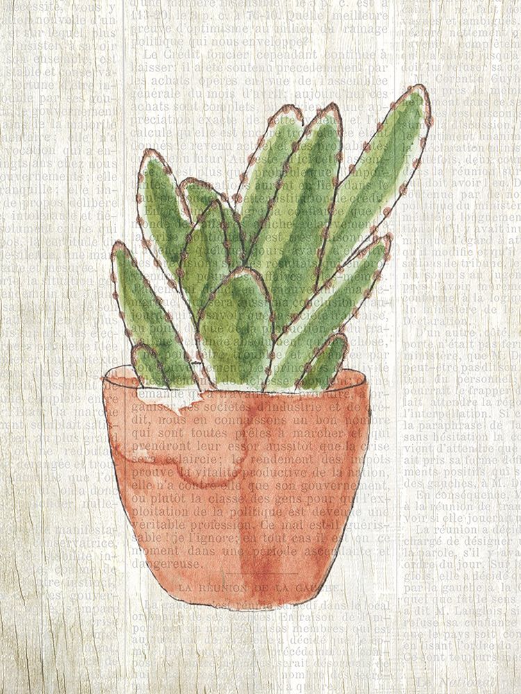 Spring Cactus 1 art print by Kimberly Allen for $57.95 CAD