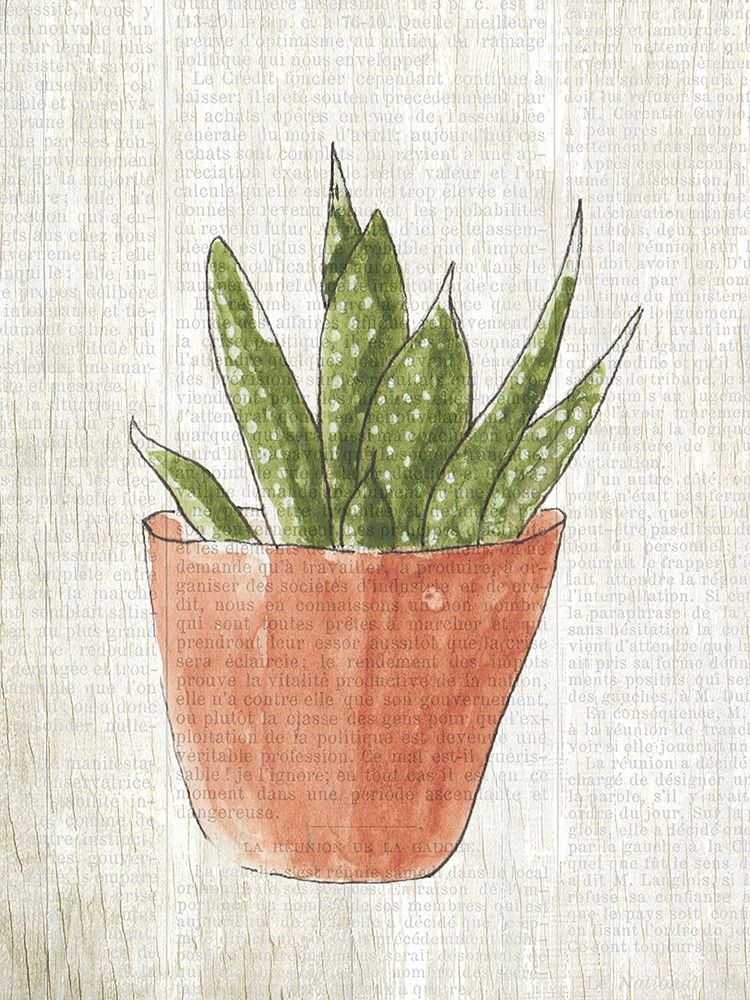 Spring Cactus 2 art print by Kimberly Allen for $57.95 CAD