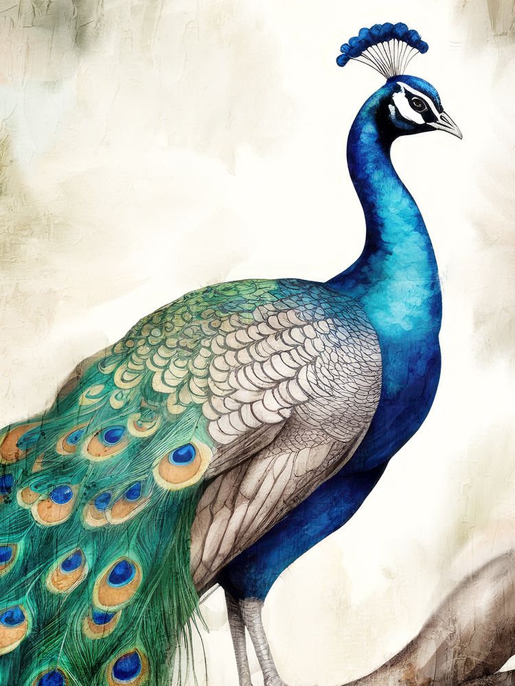 Regal art print by Kimberly Allen for $57.95 CAD