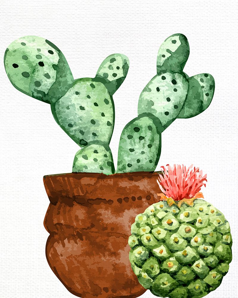 Cactus Bloom 1 art print by Kimberly Allen for $57.95 CAD
