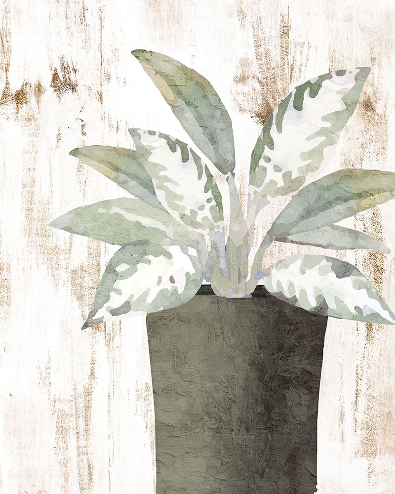 Pots 2 art print by Kimberly Allen for $57.95 CAD