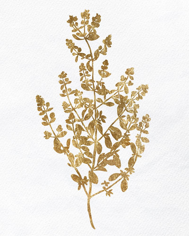 Pressed Foliage Gold 1 art print by Kimberly Allen for $57.95 CAD