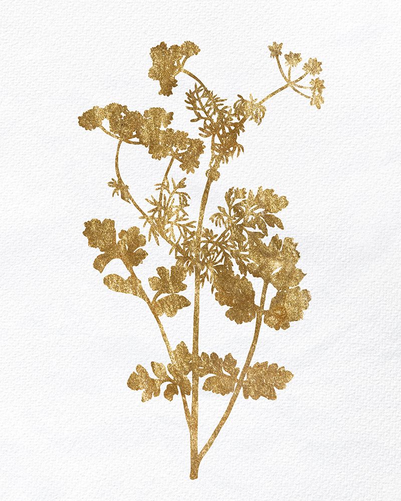 Pressed Foliage Gold 2 art print by Kimberly Allen for $57.95 CAD