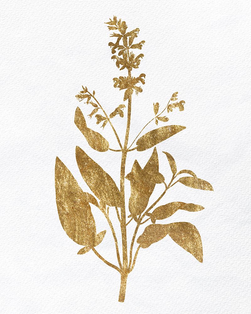 Pressed Foliage Gold 3 art print by Kimberly Allen for $57.95 CAD