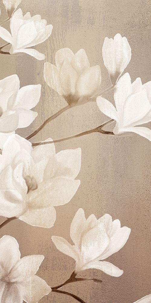 Magnolia Panel 1 art print by Allen Kimberly for $57.95 CAD