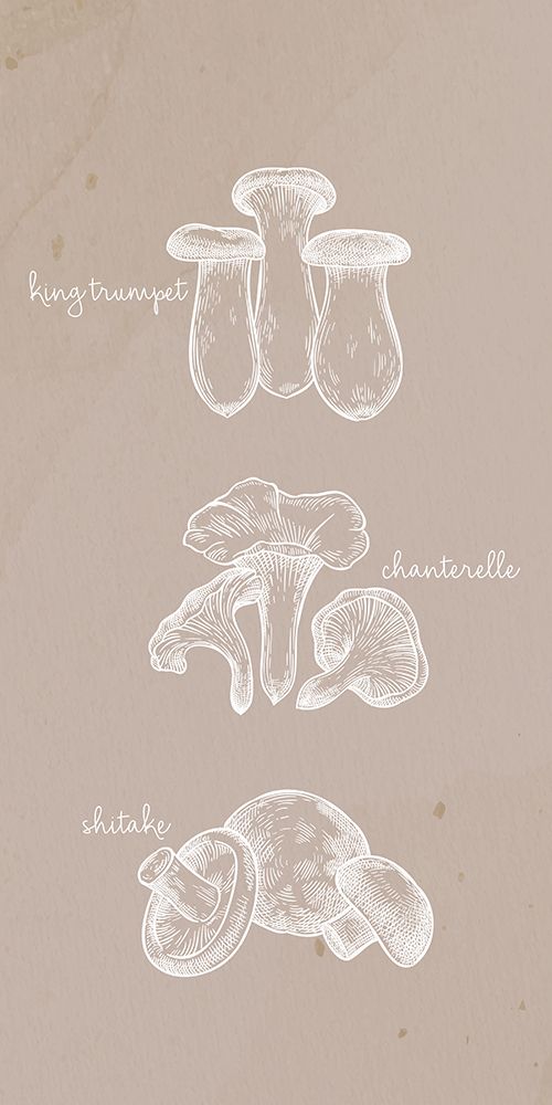 Mushrooms 1 art print by Kimberly Allen for $57.95 CAD