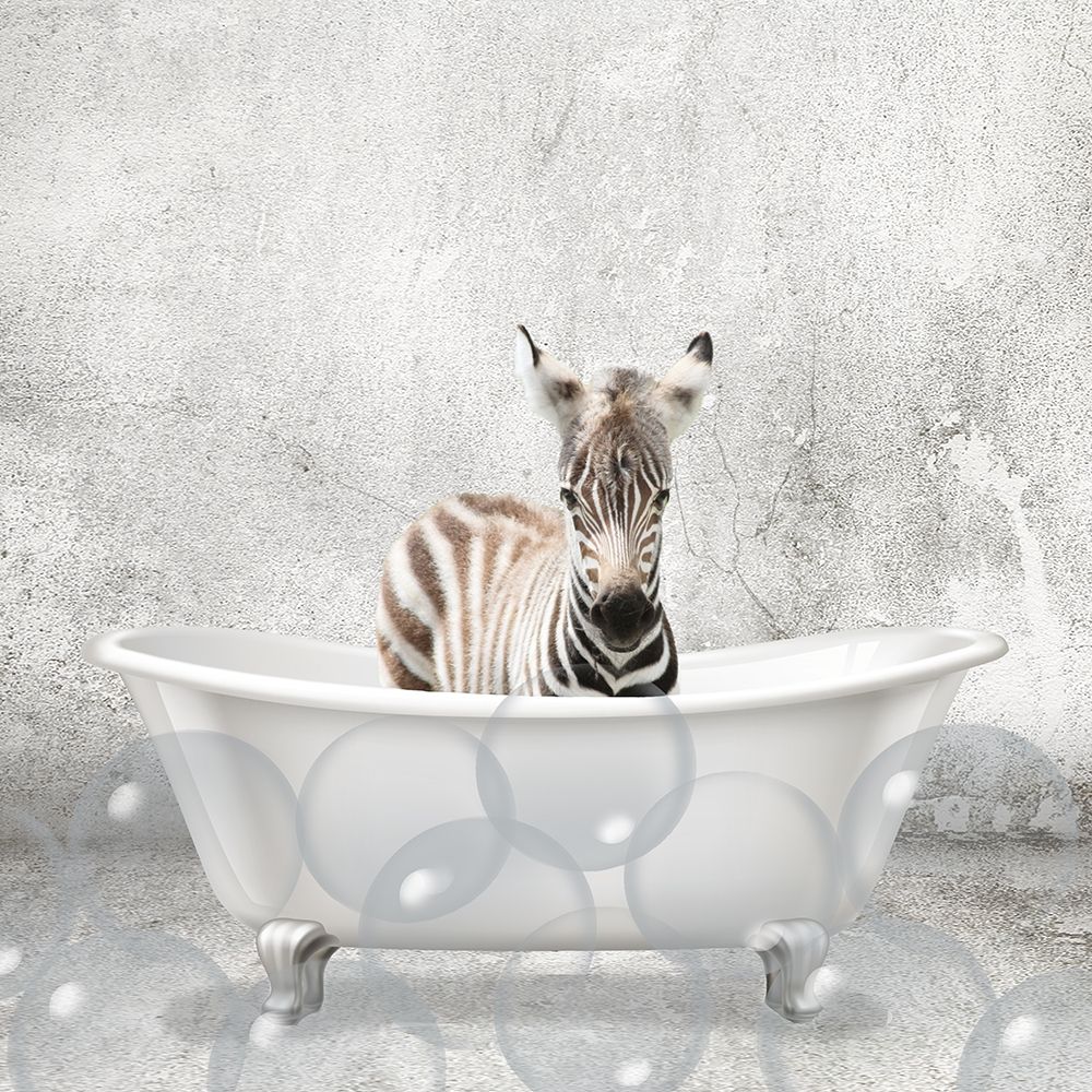Baby Zebra Bath art print by Allen Kimberly for $57.95 CAD