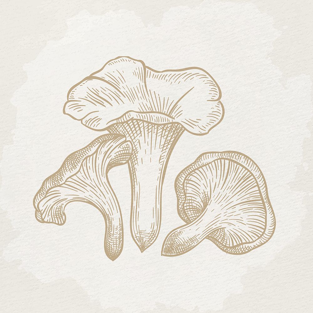 Botanical Mushroom 1 art print by Kimberly Allen for $57.95 CAD