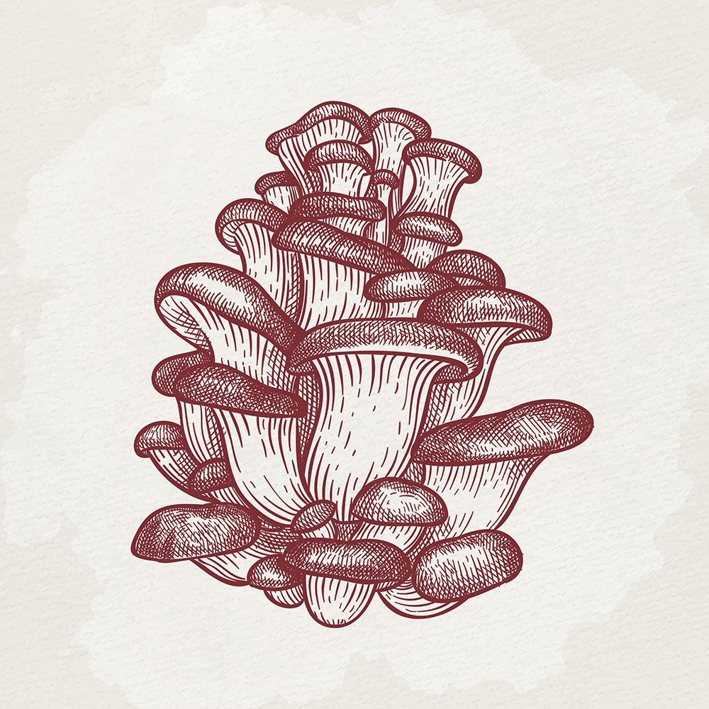 Botanical Mushroom 2 art print by Kimberly Allen for $57.95 CAD