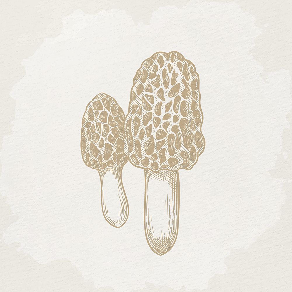 Botanical Mushroom 3 art print by Kimberly Allen for $57.95 CAD