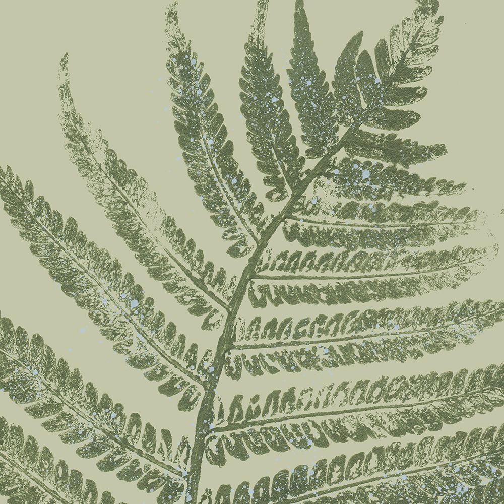 Fern Pressed Square 1 art print by Kimberly Allen for $57.95 CAD
