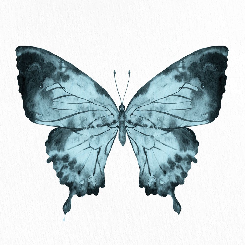 Butterfly Print 1 art print by Kimberly Allen for $57.95 CAD