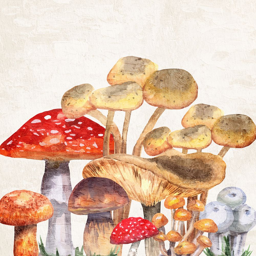 Mushroom Square 1 art print by Kimberly Allen for $57.95 CAD