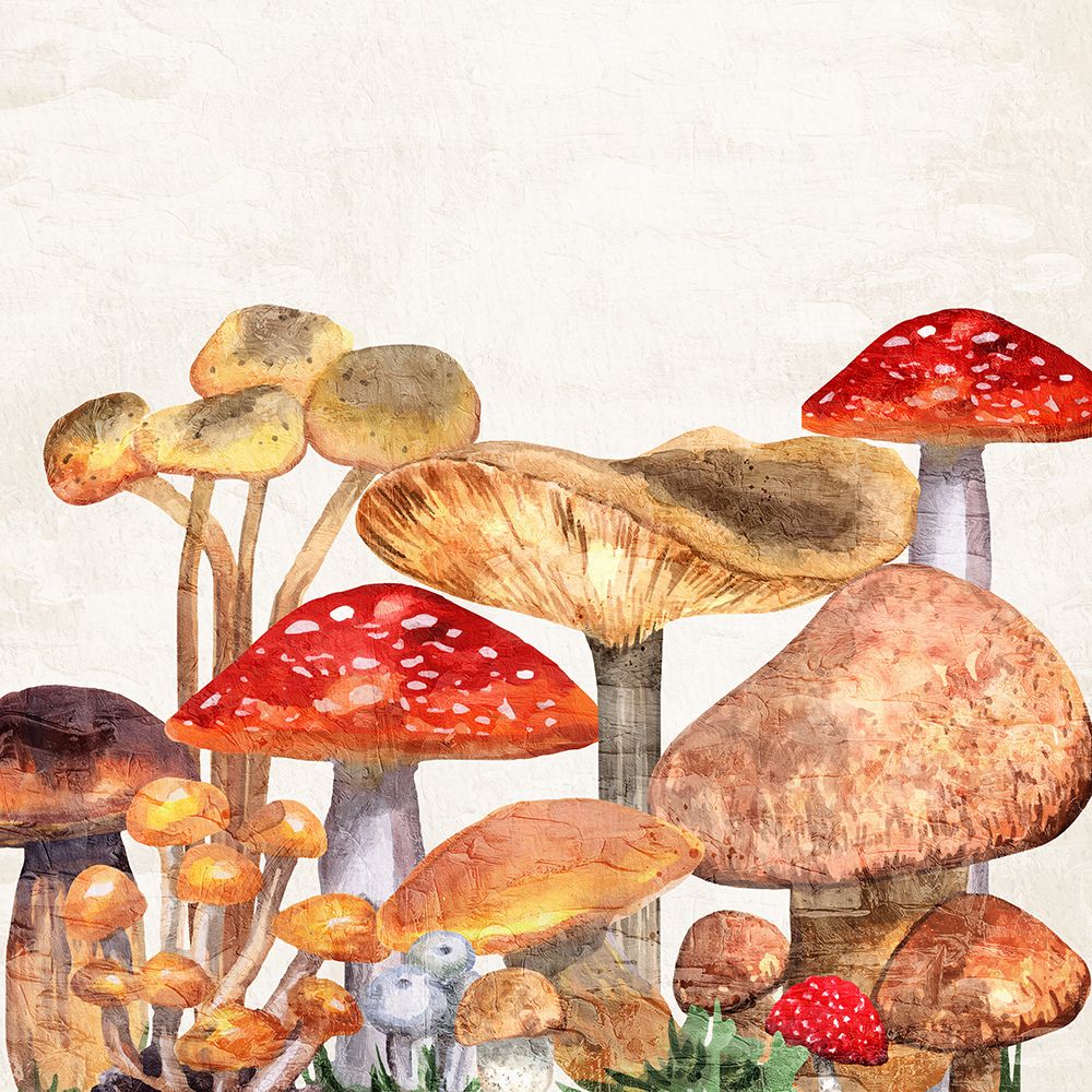 Mushroom Square 2 art print by Kimberly Allen for $57.95 CAD