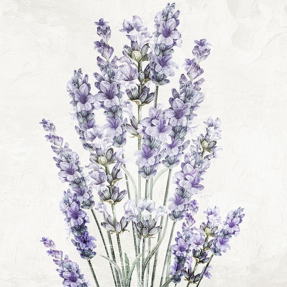 Lavender Square 2 art print by Kimberly Allen for $57.95 CAD