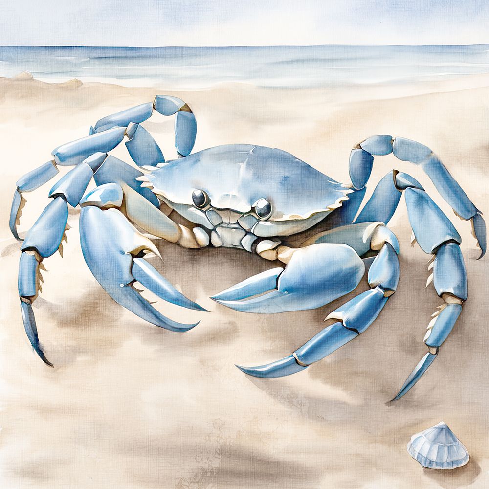 Crab Beach 2 art print by Kimberly Allen for $57.95 CAD