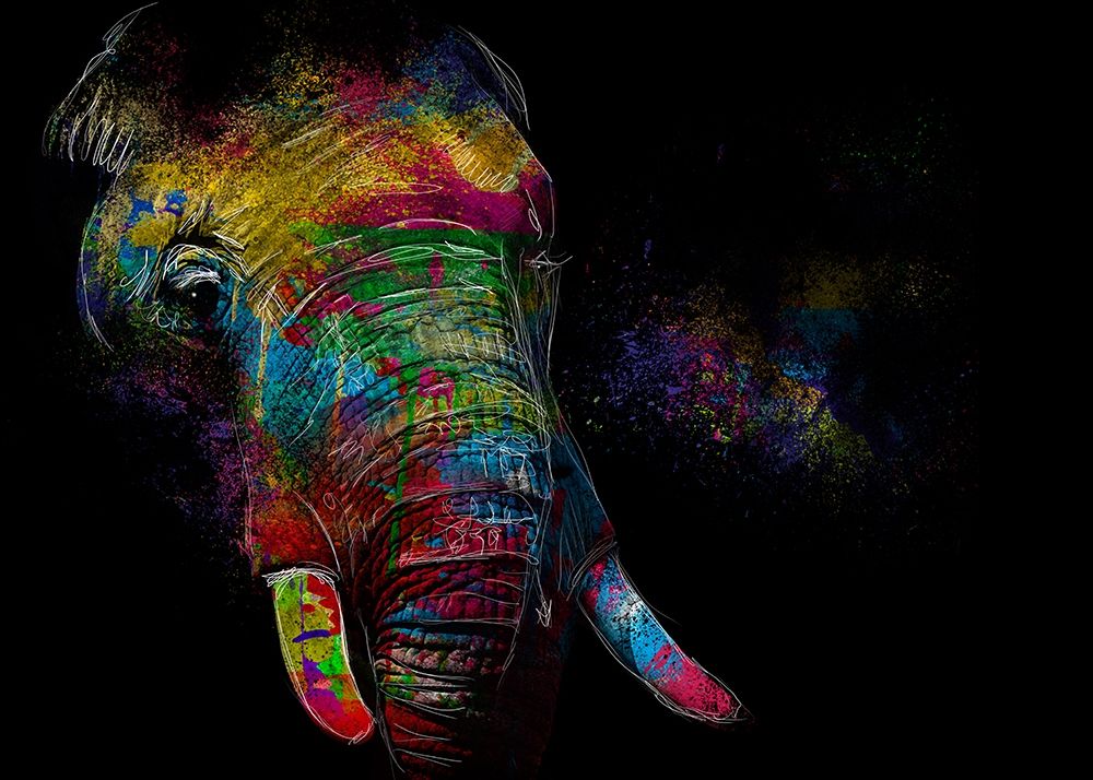 Kaleidoscope Elephant art print by May for $57.95 CAD
