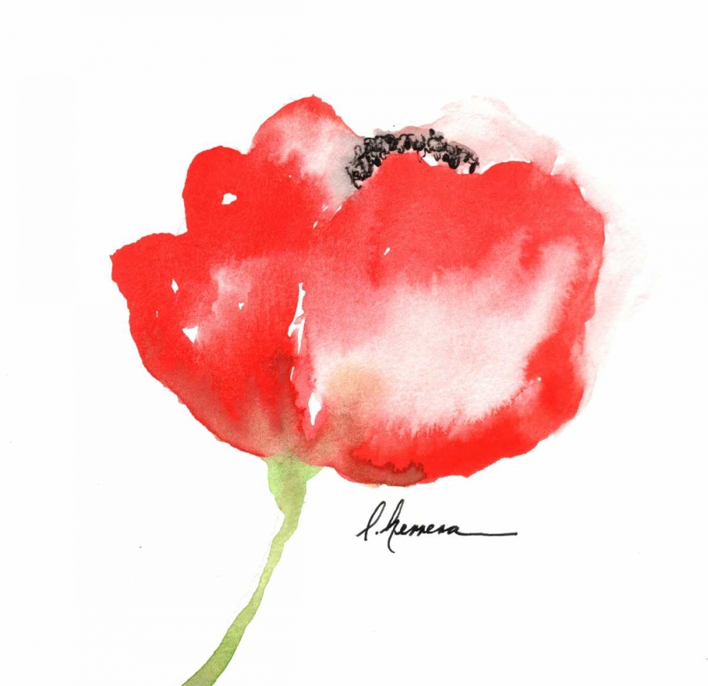 Little Red Amapola art print by May for $57.95 CAD