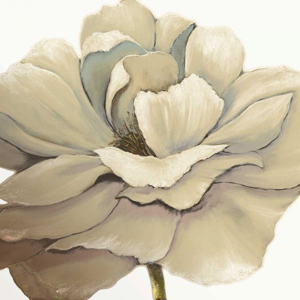 Cream Silken Bloom Withaar art print by KUMA for $57.95 CAD