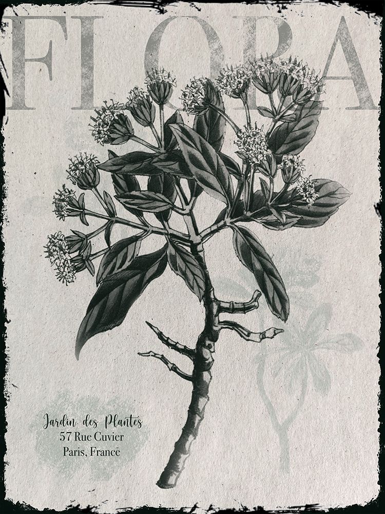 Vintage Botanical 1 art print by Melody Hogan for $57.95 CAD