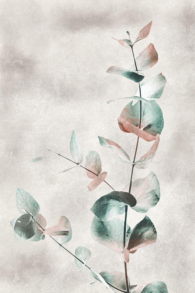 Blooming Botanical art print by Marcus Prime for $57.95 CAD