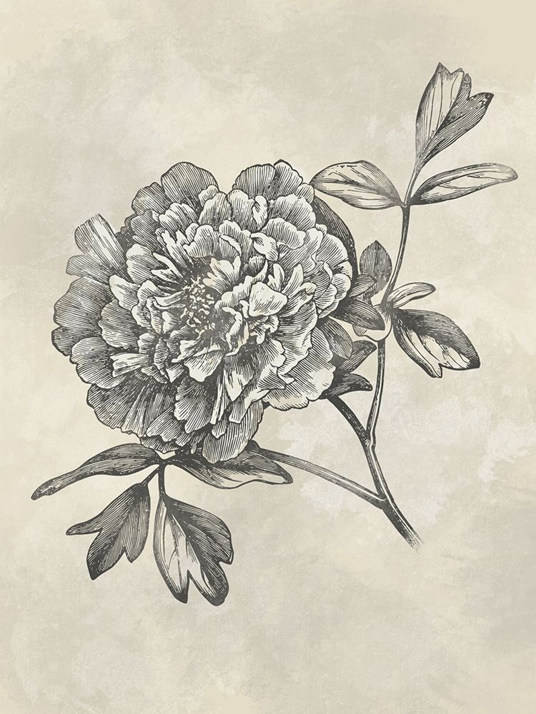 Muted Floral Sketches 1 art print by Marcus Prime for $57.95 CAD