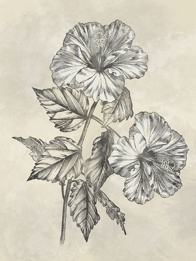 Muted Floral Sketches 2 art print by Marcus Prime for $57.95 CAD