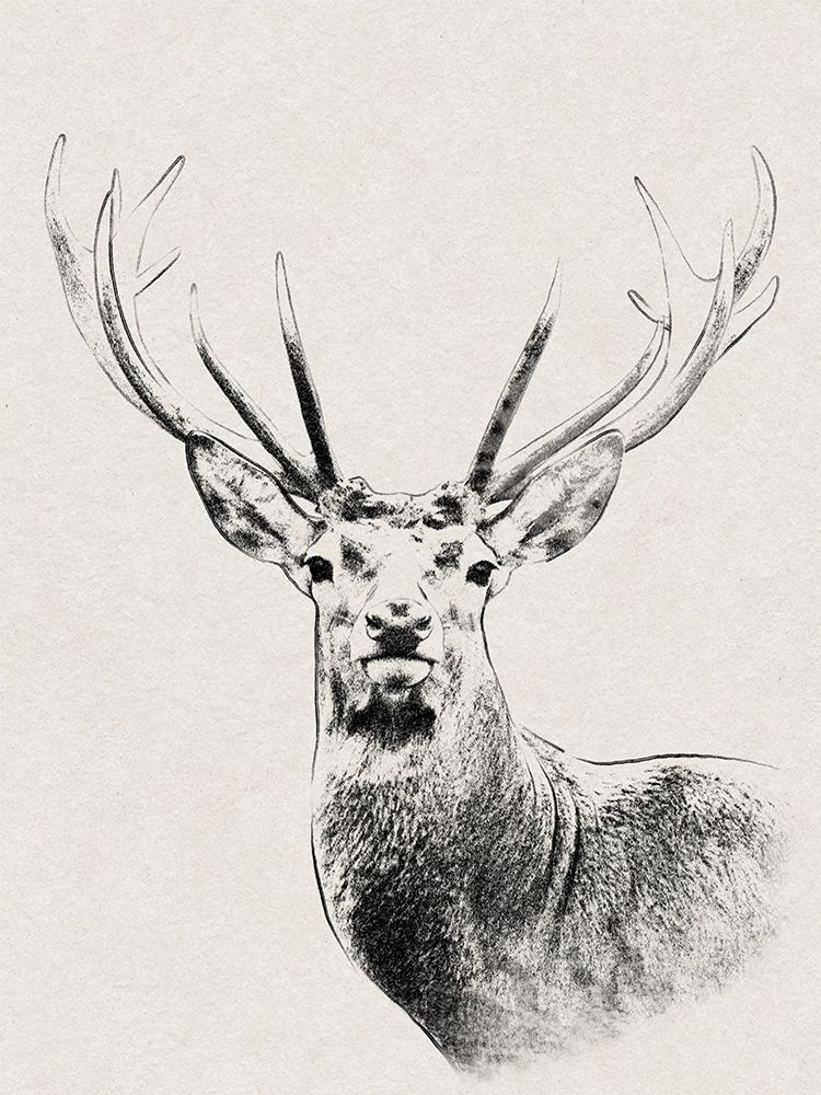 Wilderness Stare art print by Marcus Prime for $57.95 CAD